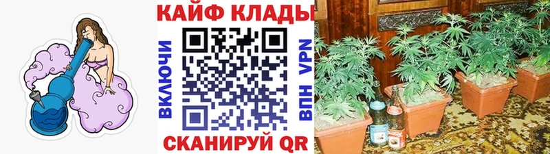 Магазин наркотиков Константиновск Канабис Гашиш