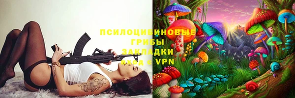 героин Алексин