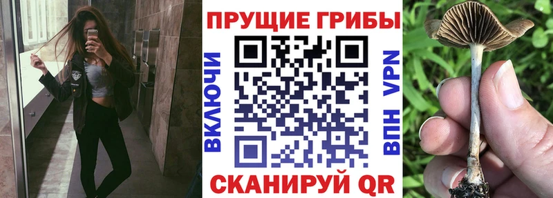 MEGA ссылка  Константиновск  Галлюциногенные грибы GOLDEN TEACHER  цены наркотик 